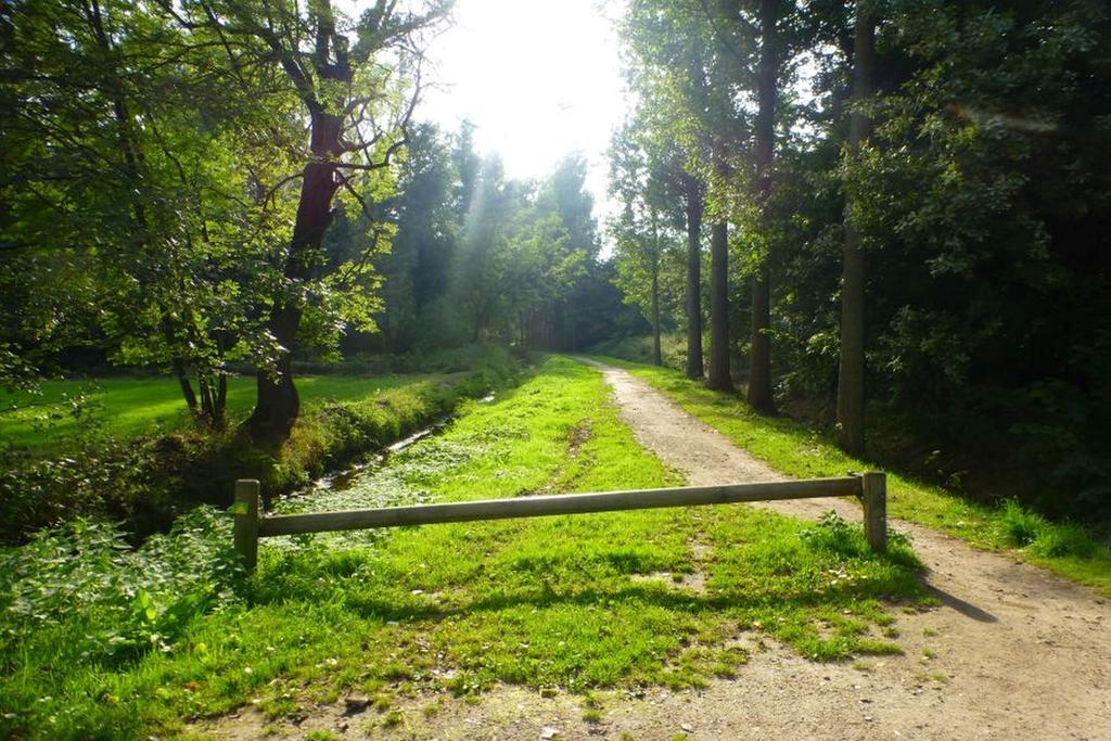 B&B Le Bon Vivant Eindhoven Zewnętrze zdjęcie